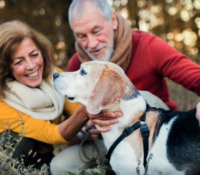 Screenshot 2026 03 13 162840