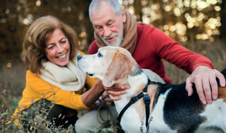 Screenshot 2026 03 13 162840