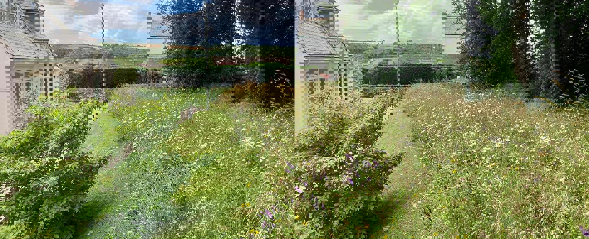 PHOTO 2022 07 01 13 14 49