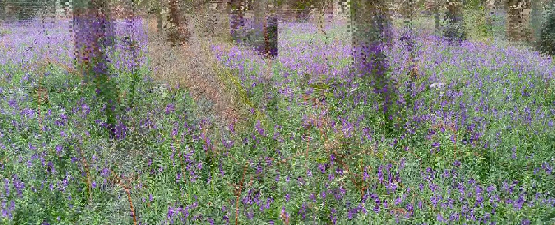 PHOTO 2022 05 12 09 01 26