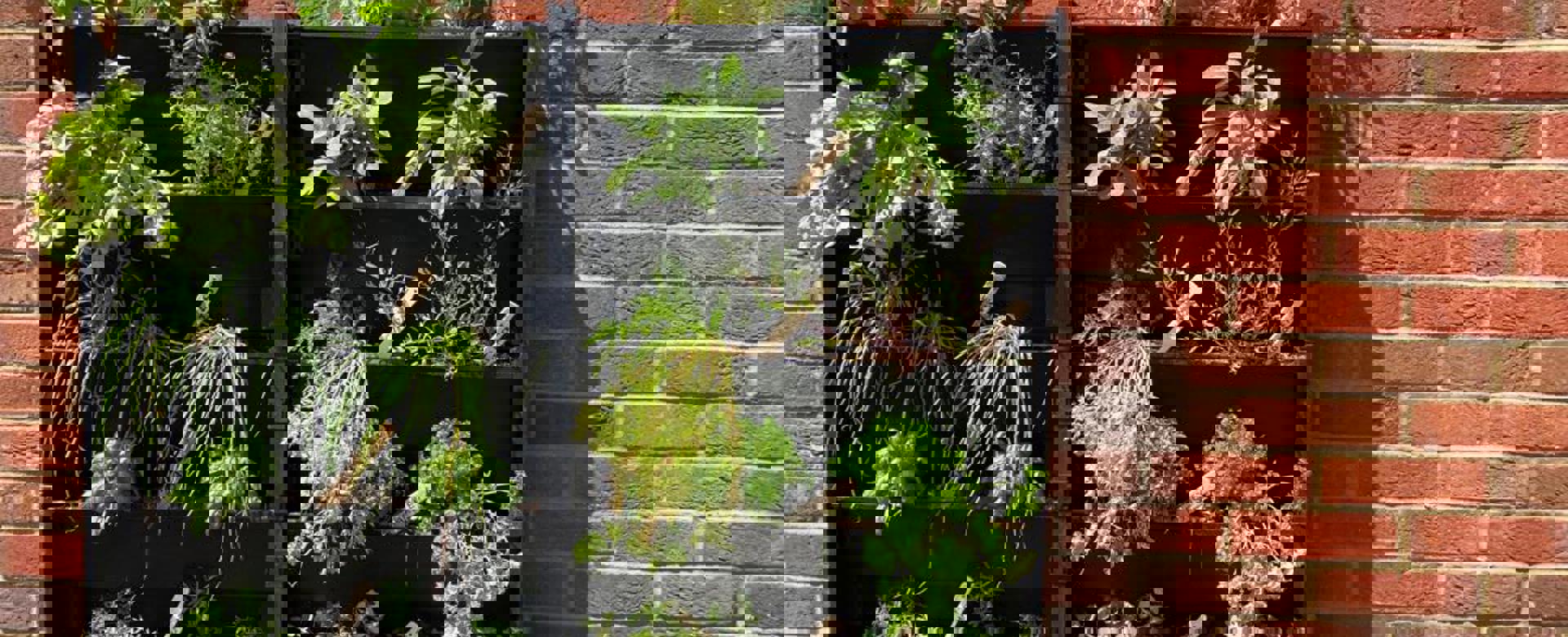 PHOTO 2022 06 28 14 23 17