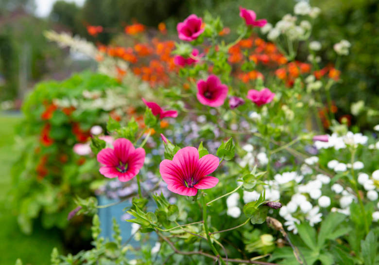 Grawell Park Village Retirement Villages In East Sussex Flowers