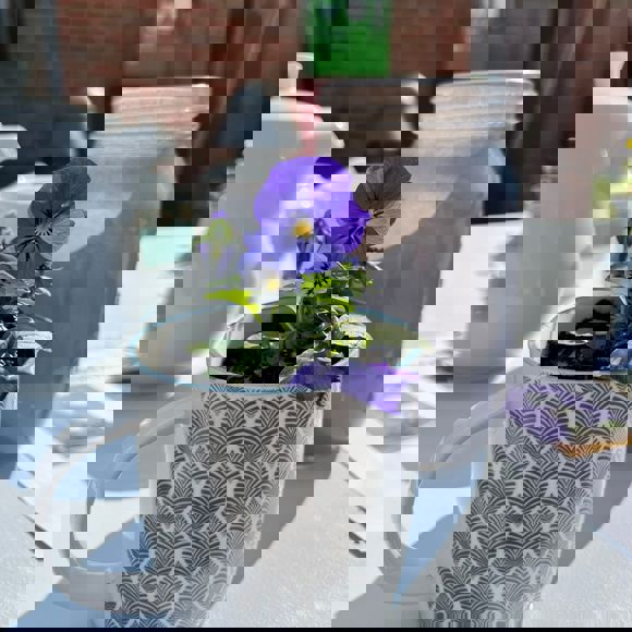 Placeholder image