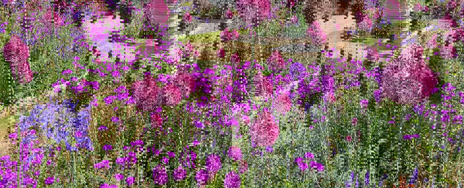 PHOTO 2022 07 17 19 17 36