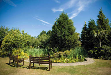 Elmbridge Community Competition