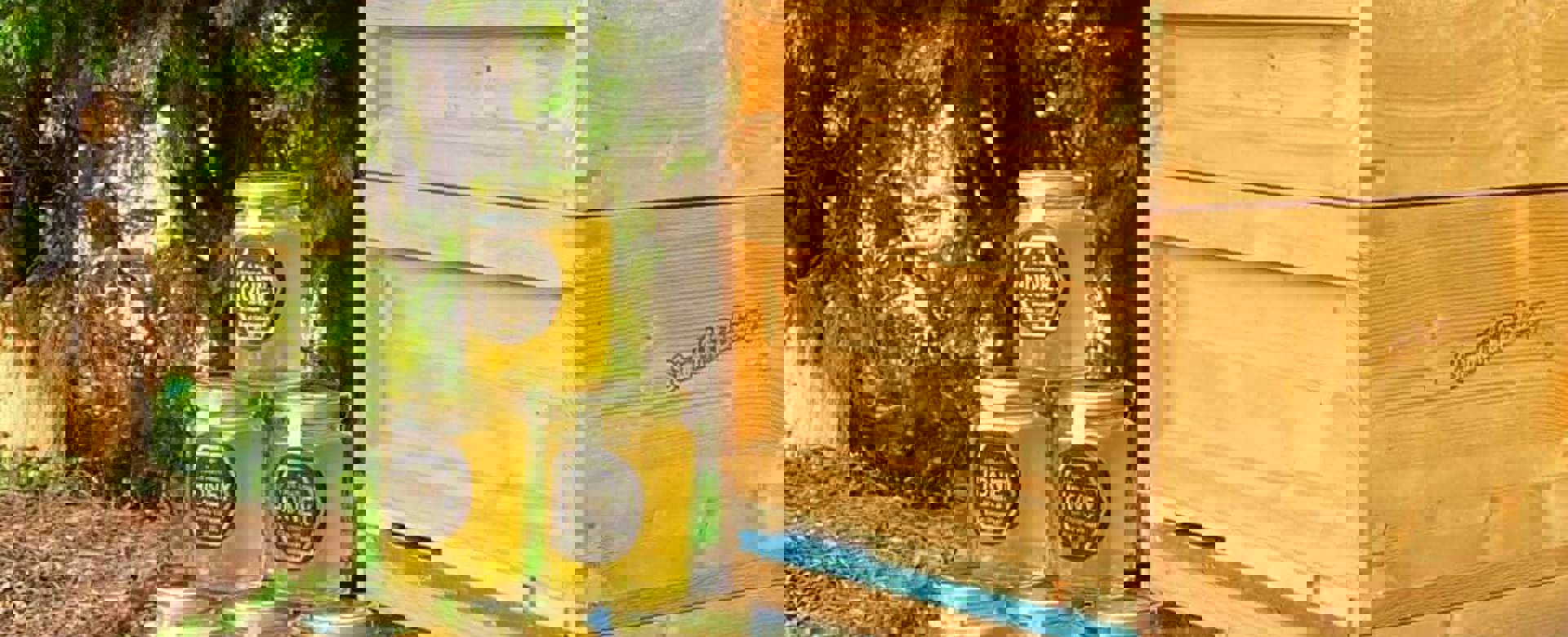 PHOTO 2022 10 03 10 09 20 (1)