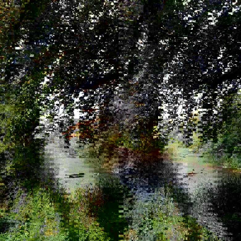 2018 09 03 17 58 40