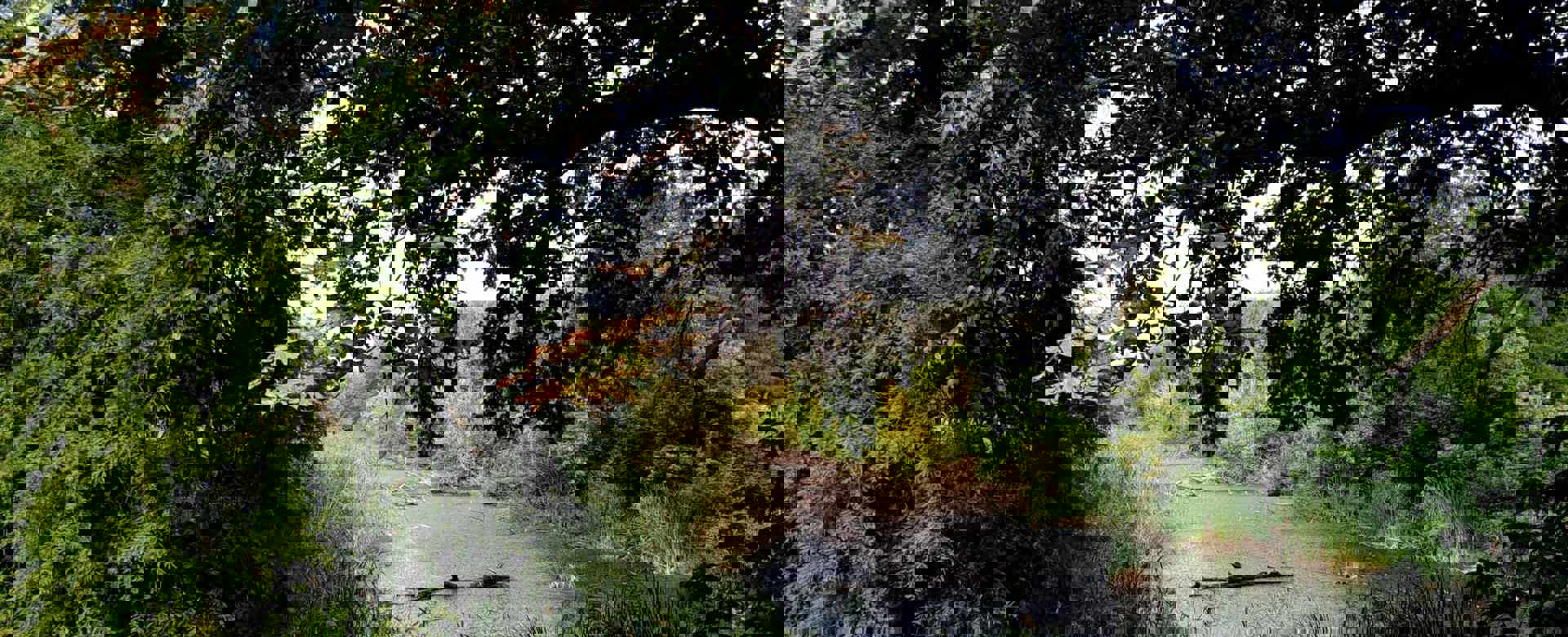 2018 09 03 17 58 40