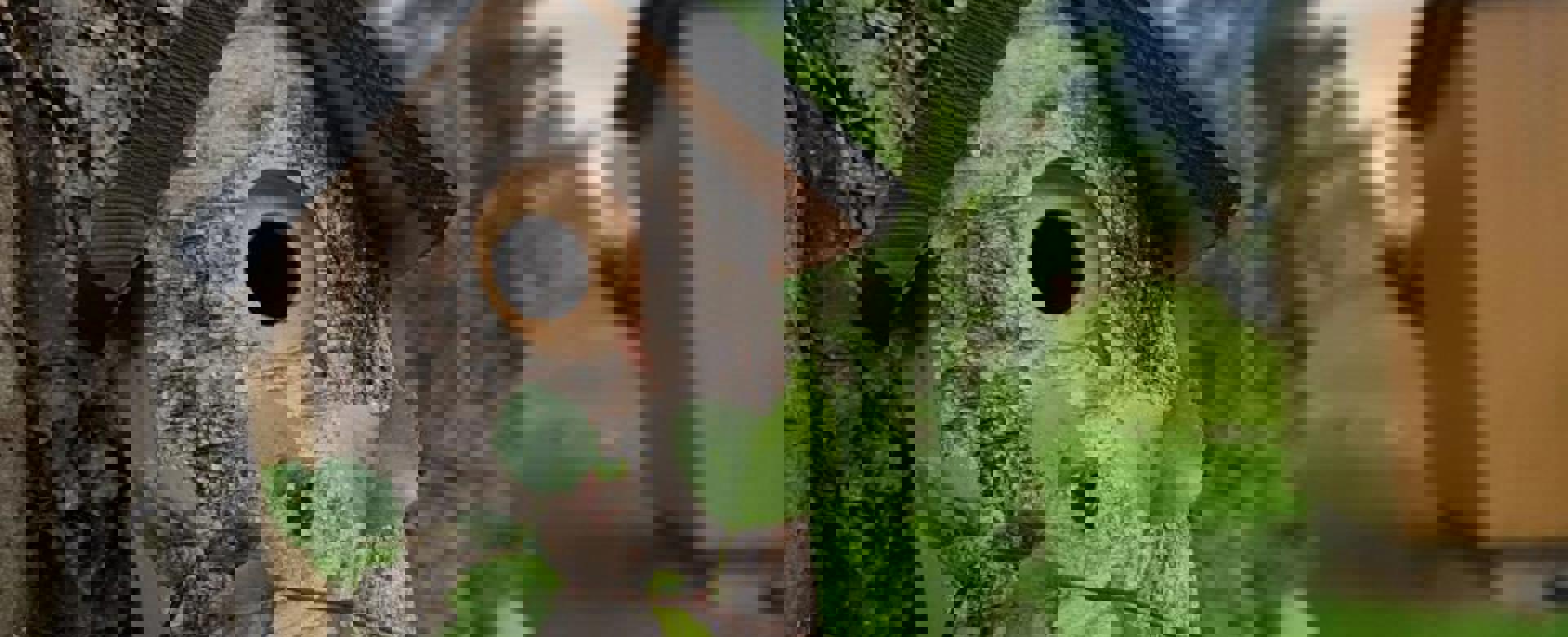 PHOTO 2022 04 21 18 27 26