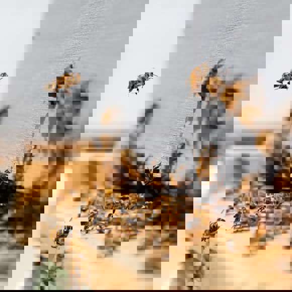 Placeholder image