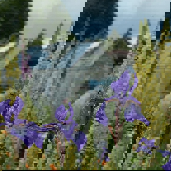 Placeholder image