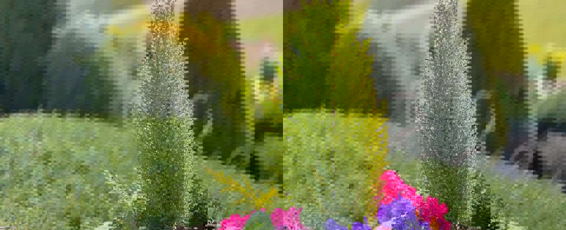 Life Is In Full Bloom In Our Gardens