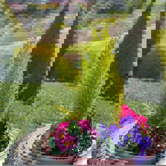 Placeholder image