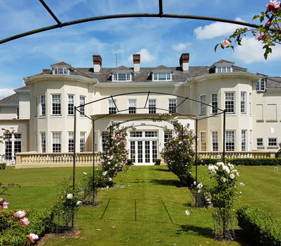 Limetree 122904 1200X675 128554E (1)